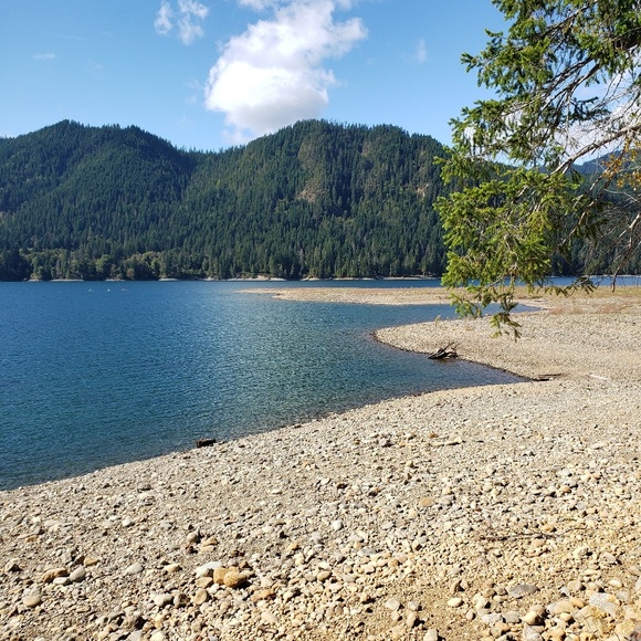 Fast shipper! Top Rated Reasonable offers accepted - Picture 2 of 4